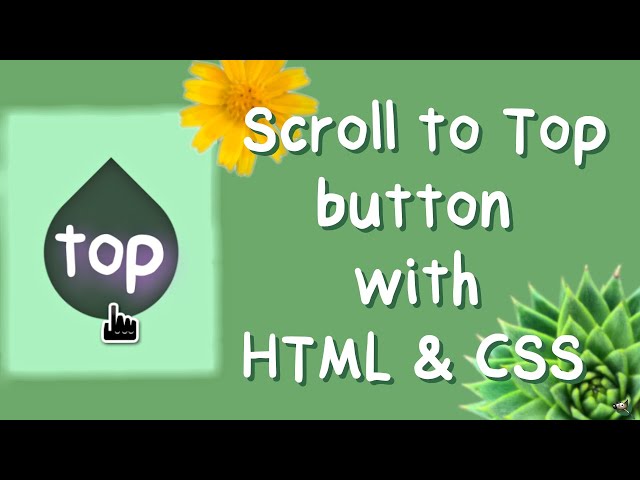Scroll to Top Button for Website Design (using HTML and CSS - no JavaScript)