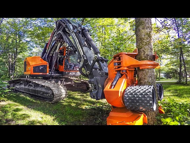 Powerful Big Tree Harvester Working, Amazing Giant Excavator Cutting Tree, Fast Tree Removal Machine
