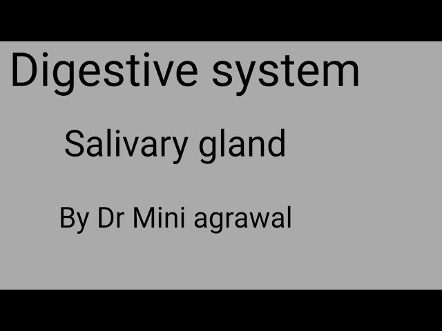 salivary glan | by Dr Mini Agrawal  | for nursing and paramedical
