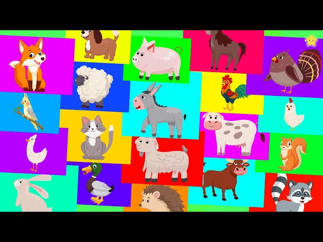 Animal Sound Song | These Are The Sounds That Animals Make