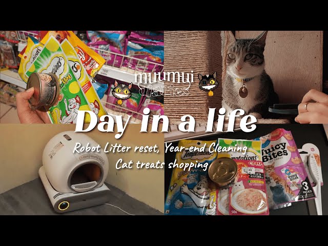 Day in a Life✨| Dec Mem Lane | Unboxing, 📦 Clean and Reset with Me 😸✧.*