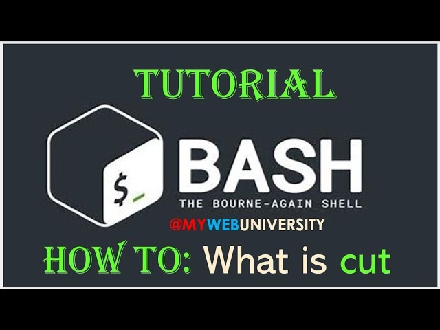 Linux Tutorial (How To: What is cut command?)