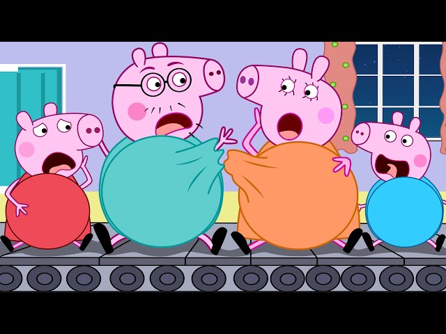 Peppa Pig Family is Pregnant! What Happened? | Peppa Pig Funny Animation