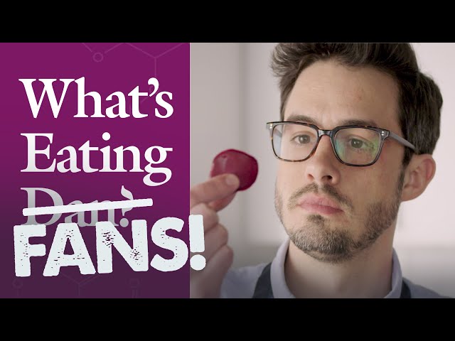 What's Eating FANS: Dan Responds to All Your Questions About Beets