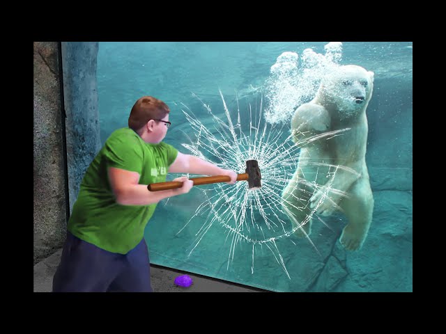 he broke the polar bear's glass...