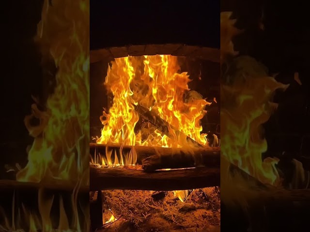 Fireside Flame
