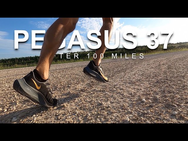Pegasus 37 After 100 Miles