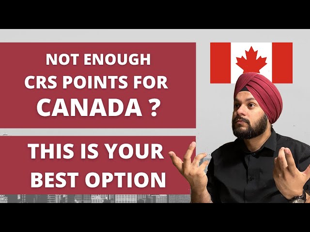 Wait for CRS Score to come down📉, or just study in Canada 🎓| Benefits of studying in Canada 🇨🇦