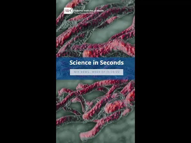 #science in seconds for the week of 11/28/22. #short #shorts #research