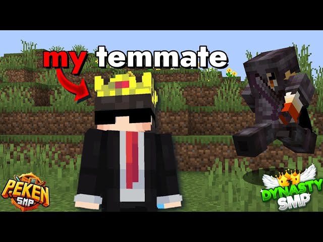 Why I'm Killing My Teammate In This Minecraft Lifesteal SMP (#dynastysmp #applicationfordynastysmp)