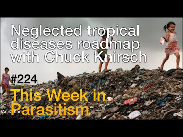 TWiP 224: Neglected tropical diseases roadmap with Chuck Knirsch