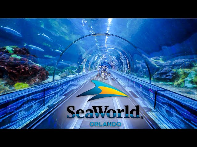 Top Things to Do at SeaWorld Orlando You Can’t Miss!