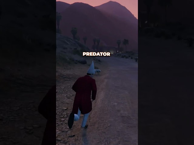 I Was Destroyed By a Mountain Lion in GTA Online...