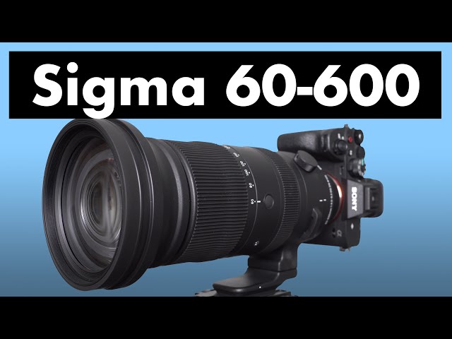 Sigma 60-600mm DG DN review: NEW VERSION! Best super-zoom for wildlife?