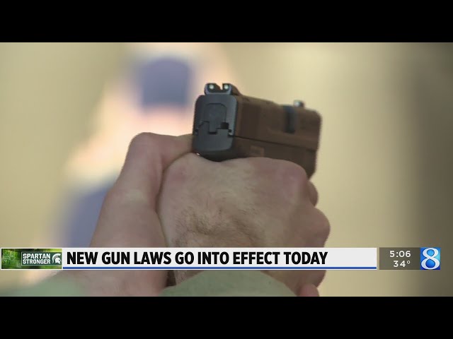 New gun laws go into effect in Michigan