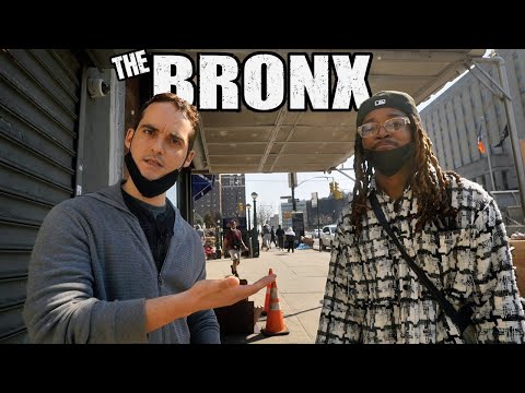 Bronx NYC Videos!