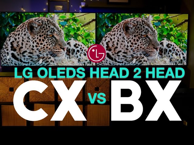 LG CX vs LG BX Battle of the LG OLEDs | Head 2 Head Comparison & Review