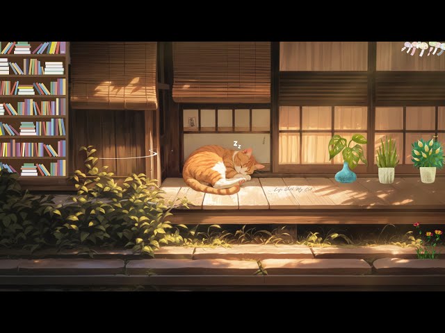 Lofi With My Cat || Time To Rest with My Cat 🐾🪴Lofi hip hop - Lofi vibes 🎶stop overthinking