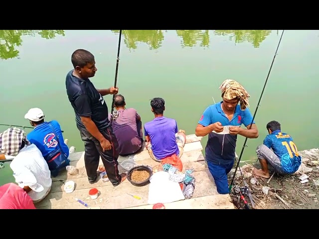 Awesome Fish Catching Programme |