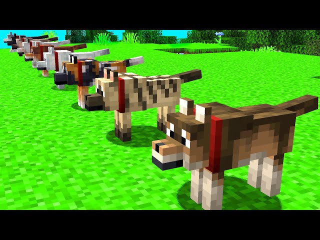 NEW WOLF BREEDS IN MINECRAFT! (and which BIOMES to find them in!)