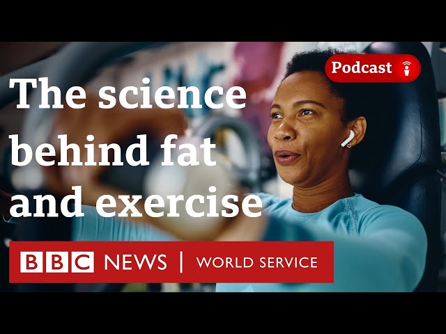 Where does our fat go when we exercise? - CrowdScience, BBC World Service