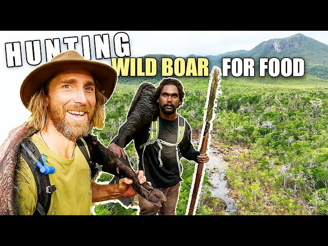 Hunting WILD BOAR with a hand spear in Australia