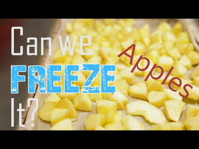 CAN WE FREEZE IT?  Fresh Apples?