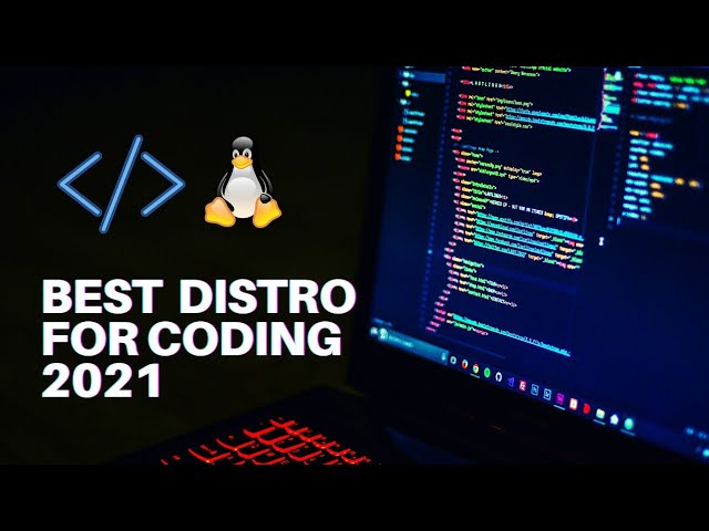 best linux distro for programing 2021