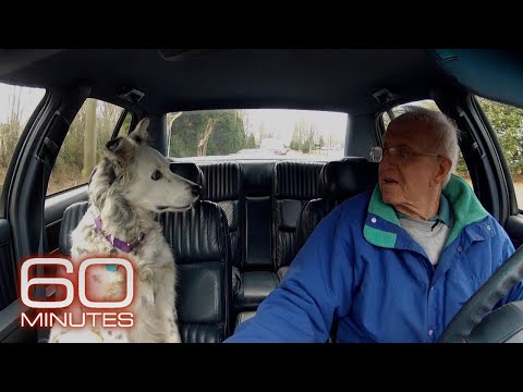 The smartest dog in the world | 60 Minutes Archive