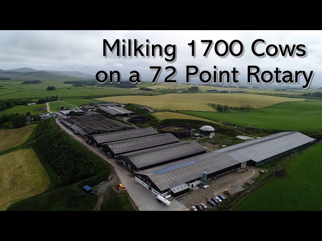 Milking 1700 Cows on a 72 Point Rotary - Scotland