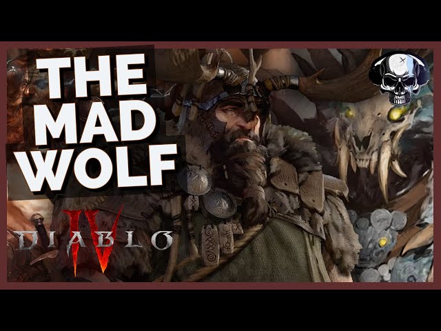 Diablo 4: Druid Build - The Mad Wolf