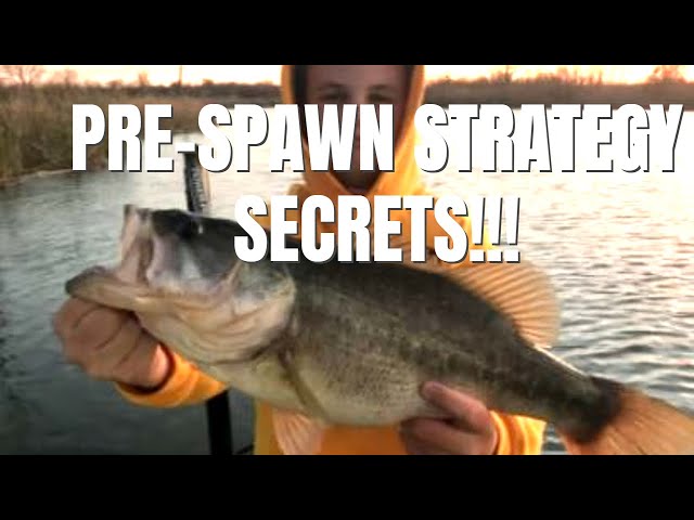 Lake Ray Hubbard Bass Fishing Pre-Spawn Strategy - Part 1