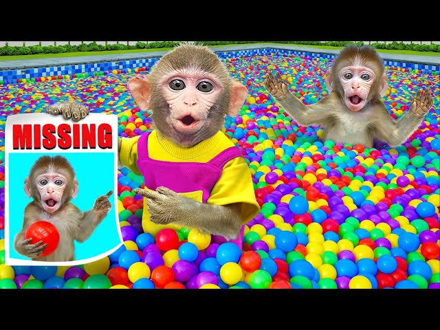 KiKi Monkey try to find hiding baby in Colorful Ball Pit Ball Swimming Pool | KUDO ANIMAL KIKI
