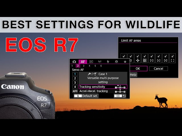 How I set up the R7 for bird and wildlife photography - all settings