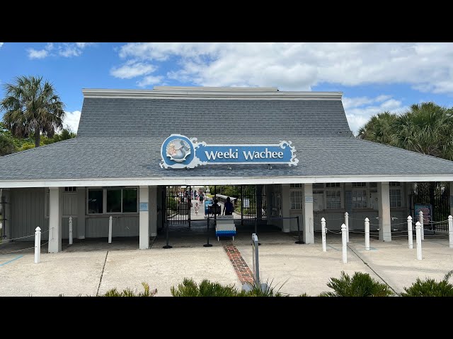 Exploring Weeki Wachee Springs State Park | Seeing Real Mermaids in Florida | State Parks in Florida