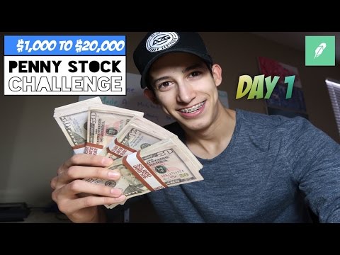 Penny Stock Challenge
