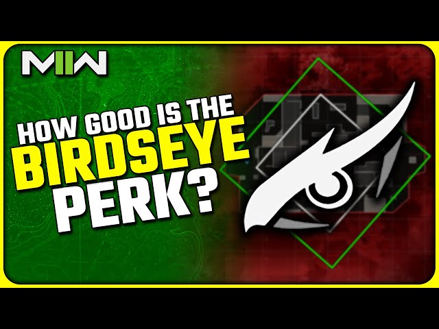 Is the Birdseye Perk Any Good in MWII? | (Hidden Benefit & Full Breakdown)