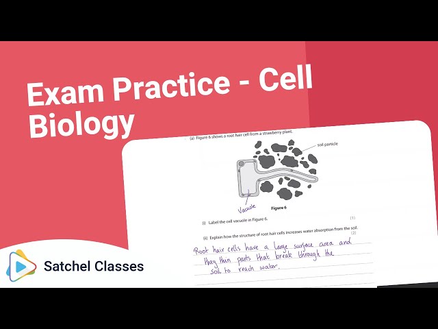 Biology  Sample Exam Questions  Cell Biology | Biology | Satchel Classes