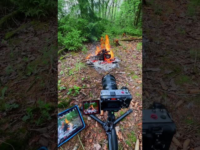 REC 🔥 Campfire in the Forest / BEHIND THE SCENES