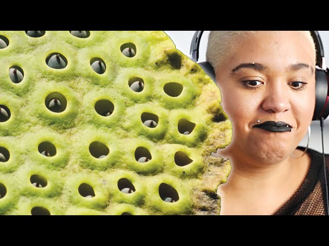 Do You Have Trypophobia (The Fear Of Tiny Holes)?