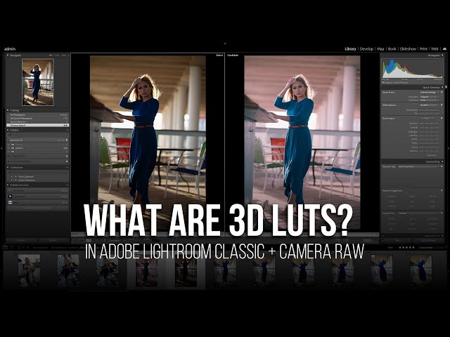 What Are 3D LUTS & Why Photographers Should Color Grade With These Profiles