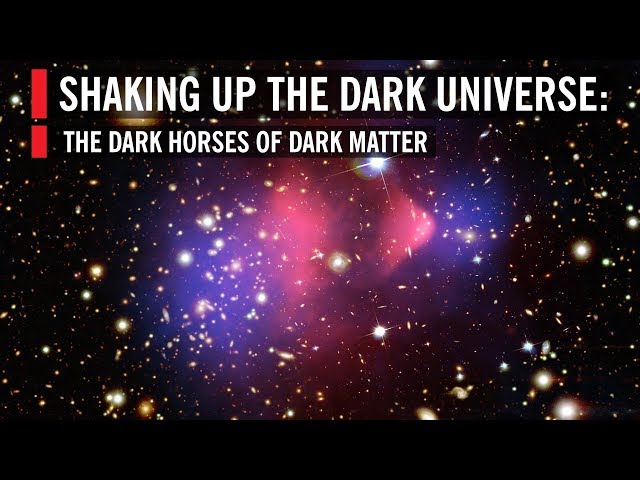 Shaking Up the Dark Universe: The Dark Horses of Dark Matter
