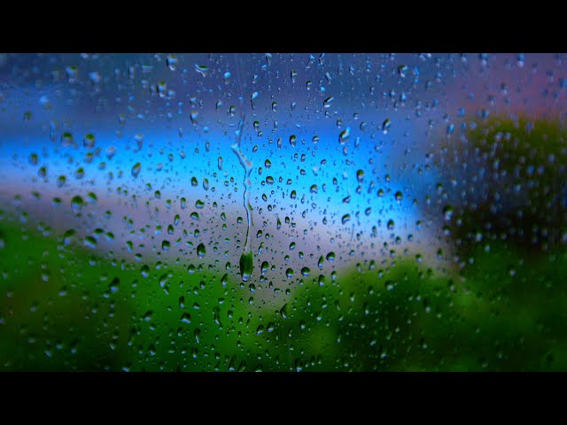 Rain & Thunder Sleep Sounds ☔⚡White Noise for Relaxation, Stress Relief