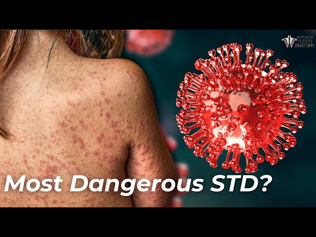 What HIV Does to the Body | And Should You Get Tested?