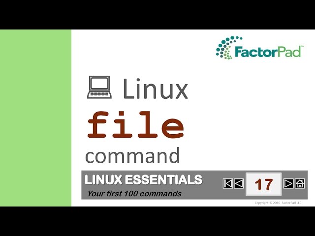 Linux file command summary with examples