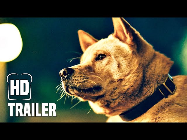 HACHIKO - EINE FREUNDSCHAFT FÜR DIE EWIGKEIT Trailer German Deutsch (2024) @FilmtoastDE