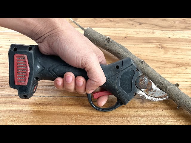 Electric Pruning Shears Restoration