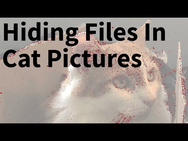 Hiding Files In Images - Kali Tutorial Steganography