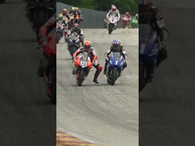 Things are getting rowdy in the Medallia Superbike Class #shorts #motorcycle #motorsport