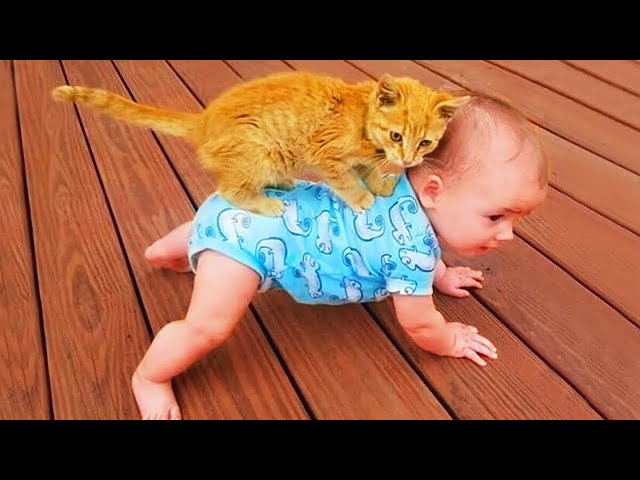 Cute Baby and Cats Playing Together - Baby and Pet | Life Funny Pets Video
